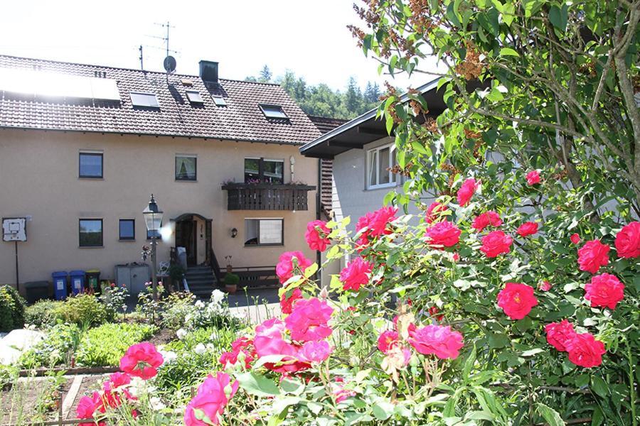 Apartment Baden Baden Haus Am Ibachweg Esterno foto